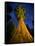 Giant Sequoia under the Milky Way-Ian Shive-Framed Stretched Canvas