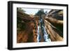 Giant Sequoia-null-Framed Photographic Print