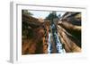 Giant Sequoia-null-Framed Photographic Print