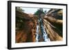 Giant Sequoia-null-Framed Photographic Print