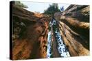 Stretched Canvas