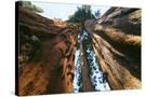 Stretched Canvas