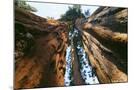 Wood Mount