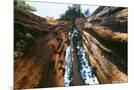 Wood Mount
