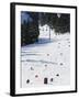 Giant Slalom Racers at Whistler Mountain Resort-Christian Kober-Framed Photographic Print