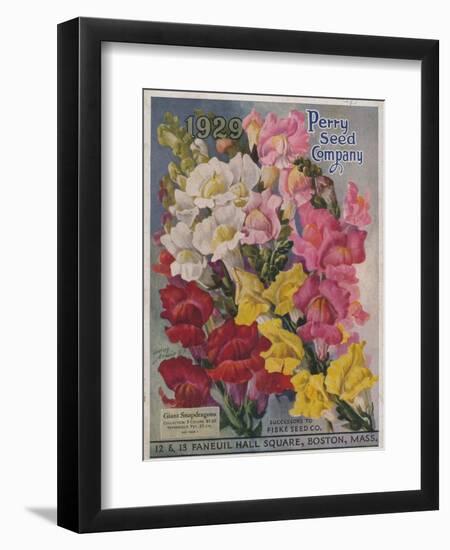 Giant Snapdragons from the Perry Seed Company-null-Framed Art Print