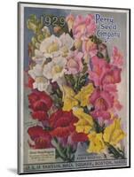 Giant Snapdragons from the Perry Seed Company-null-Mounted Art Print