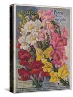 Giant Snapdragons from the Perry Seed Company-null-Stretched Canvas