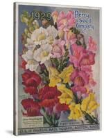 Giant Snapdragons from the Perry Seed Company-null-Stretched Canvas