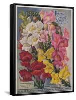 Giant Snapdragons from the Perry Seed Company-null-Framed Stretched Canvas