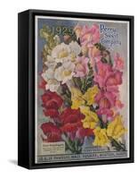 Giant Snapdragons from the Perry Seed Company-null-Framed Stretched Canvas