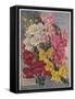 Giant Snapdragons from the Perry Seed Company-null-Framed Stretched Canvas
