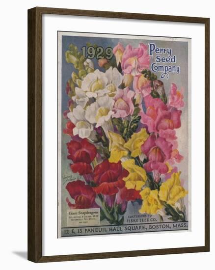 Giant Snapdragons from the Perry Seed Company-null-Framed Art Print