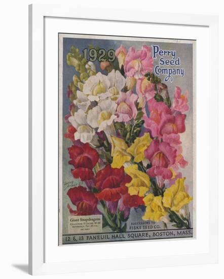 Giant Snapdragons from the Perry Seed Company-null-Framed Art Print