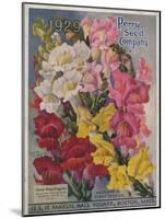 Giant Snapdragons from the Perry Seed Company-null-Mounted Art Print