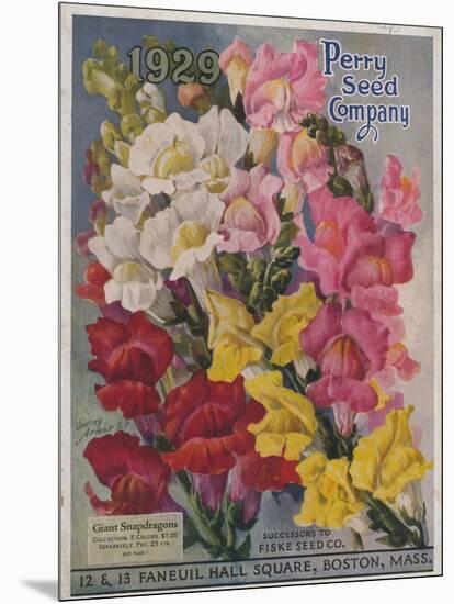 Giant Snapdragons from the Perry Seed Company-null-Mounted Art Print