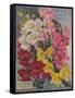 Giant Snapdragons, Perry Seed Company-null-Framed Stretched Canvas