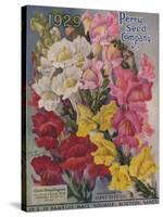 Giant Snapdragons, Perry Seed Company-null-Stretched Canvas