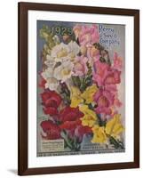 Giant Snapdragons, Perry Seed Company-null-Framed Art Print