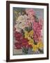 Giant Snapdragons, Perry Seed Company-null-Framed Art Print