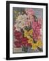 Giant Snapdragons, Perry Seed Company-null-Framed Art Print