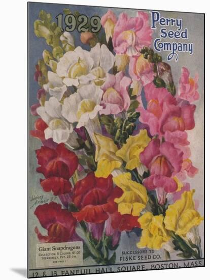 Giant Snapdragons, Perry Seed Company-null-Mounted Art Print