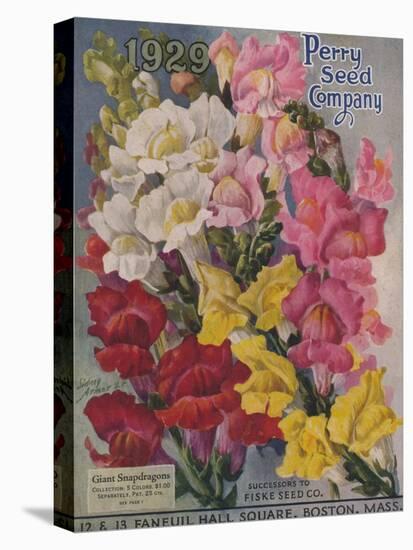 Giant Snapdragons, Perry Seed Company-null-Stretched Canvas