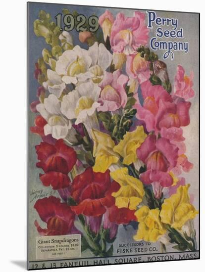 Giant Snapdragons, Perry Seed Company-null-Mounted Art Print