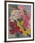 Giant Snapdragons, Perry Seed Company-null-Framed Art Print