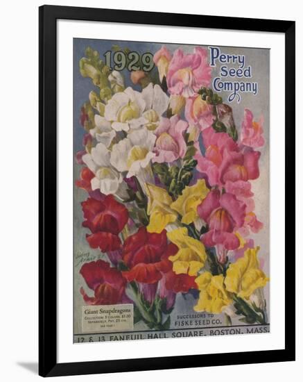 Giant Snapdragons, Perry Seed Company-null-Framed Art Print