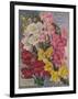 Giant Snapdragons, Perry Seed Company-null-Framed Art Print