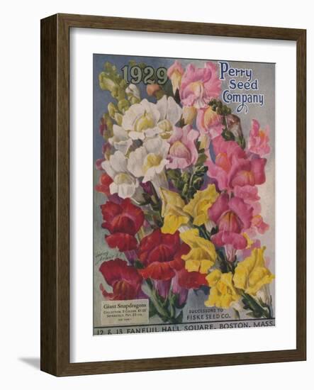 Giant Snapdragons, Perry Seed Company-null-Framed Art Print