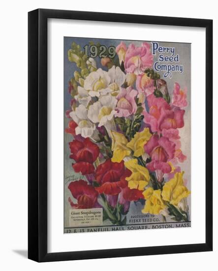 Giant Snapdragons, Perry Seed Company-null-Framed Art Print