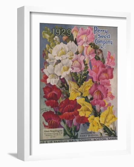 Giant Snapdragons, Perry Seed Company-null-Framed Art Print