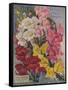 Giant Snapdragons, Perry Seed Company-null-Framed Stretched Canvas