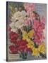 Giant Snapdragons, Perry Seed Company-null-Stretched Canvas