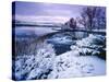 Giant Springs State Park in Winter, Great Falls, Montana-Chuck Haney-Stretched Canvas