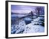 Giant Springs State Park in Winter, Great Falls, Montana-Chuck Haney-Framed Photographic Print