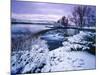 Giant Springs State Park in Winter, Great Falls, Montana-Chuck Haney-Mounted Photographic Print