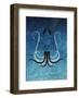 Giant Squid - Jethro Wilson Contemporary Wildlife Print-Jethro Wilson-Framed Art Print