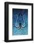 Giant Squid - Jethro Wilson Contemporary Wildlife Print-Jethro Wilson-Framed Giclee Print