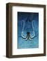 Giant Squid - Jethro Wilson Contemporary Wildlife Print-Jethro Wilson-Framed Giclee Print