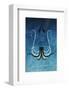 Giant Squid - Jethro Wilson Contemporary Wildlife Print-Jethro Wilson-Framed Giclee Print