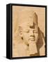 Giant Statue of the Great Pharaoh Rameses Ii, Temple Rameses Ii at Abu Simbel, Egypt-Neale Clark-Framed Stretched Canvas