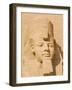 Giant Statue of the Great Pharaoh Rameses Ii, Temple Rameses Ii at Abu Simbel, Egypt-Neale Clark-Framed Photographic Print