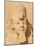 Giant Statue of the Great Pharaoh Rameses Ii, Temple Rameses Ii at Abu Simbel, Egypt-Neale Clark-Mounted Photographic Print