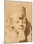 Giant Statue of the Great Pharaoh Rameses Ii, Temple Rameses Ii at Abu Simbel, Egypt-Neale Clark-Mounted Photographic Print