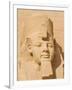 Giant Statue of the Great Pharaoh Rameses Ii, Temple Rameses Ii at Abu Simbel, Egypt-Neale Clark-Framed Photographic Print