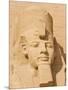 Giant Statue of the Great Pharaoh Rameses Ii, Temple Rameses Ii at Abu Simbel, Egypt-Neale Clark-Mounted Photographic Print
