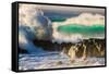 Giant storm surf, Oahu, Hawaii-Mark A Johnson-Framed Stretched Canvas